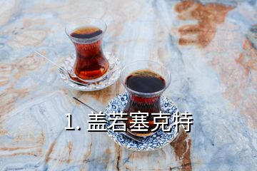 1. 蓋若塞克特