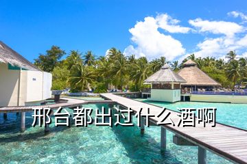 邢臺(tái)都出過(guò)什么酒啊