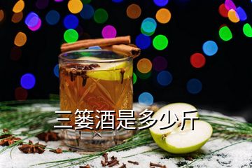 三簍酒是多少斤