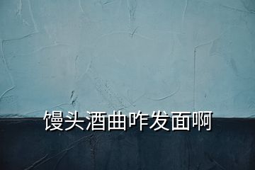 饅頭酒曲咋發(fā)面啊