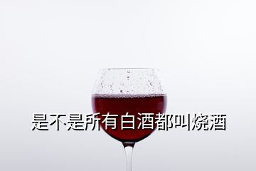 是不是所有白酒都叫燒酒