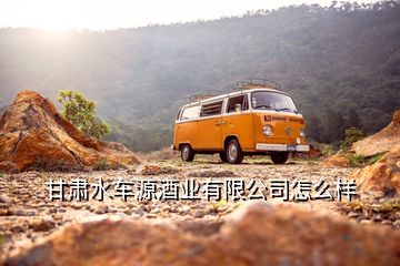 甘肅水車源酒業(yè)有限公司怎么樣