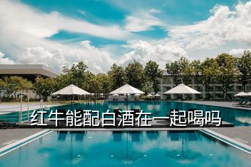 紅牛能配白酒在一起喝嗎