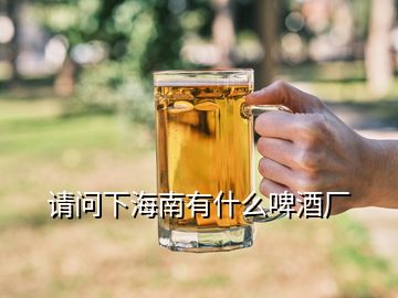 請(qǐng)問下海南有什么啤酒廠