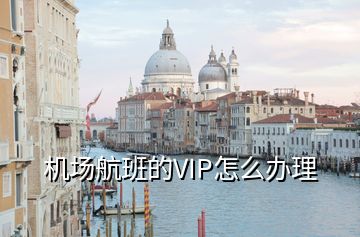 機(jī)場航班的VIP怎么辦理