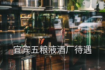 宜賓五糧液酒廠(chǎng)待遇