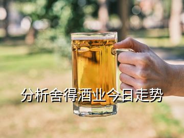 分析舍得酒業(yè)今日走勢