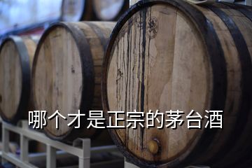 哪個(gè)才是正宗的茅臺(tái)酒