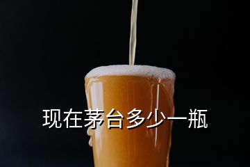 現(xiàn)在茅臺(tái)多少一瓶