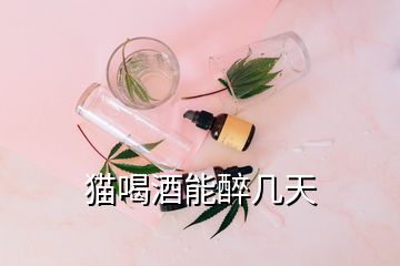 貓喝酒能醉幾天