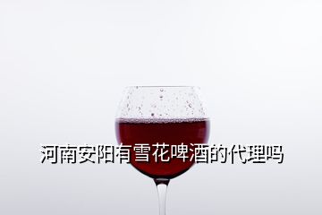 河南安陽(yáng)有雪花啤酒的代理嗎