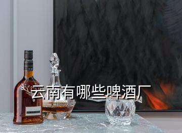 云南有哪些啤酒廠