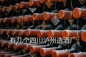 有幾個四川瀘州造酒廠