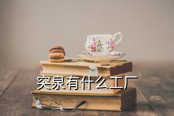 突泉有什么工廠