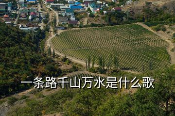 一條路千山萬水是什么歌