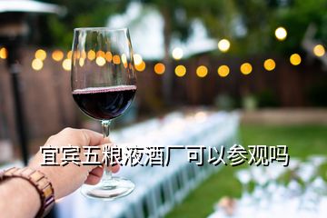 宜賓五糧液酒廠(chǎng)可以參觀嗎