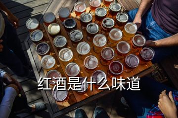 紅酒是什么味道