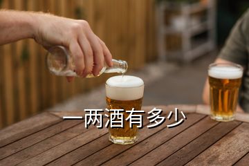 一兩酒有多少