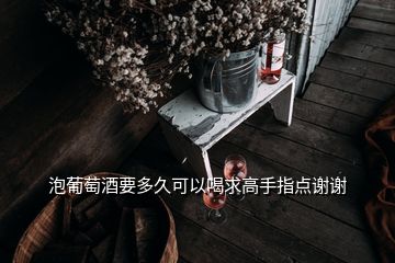 泡葡萄酒要多久可以喝求高手指點(diǎn)謝謝