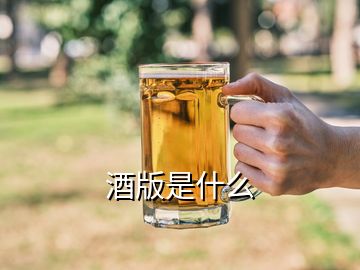 酒版是什么