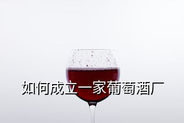 如何成立一家葡萄酒廠(chǎng)