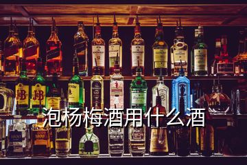 泡楊梅酒用什么酒