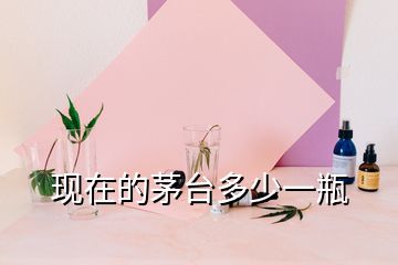 現(xiàn)在的茅臺(tái)多少一瓶