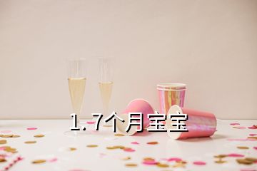 1. 7個(gè)月寶寶