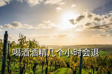 喝酒酒精幾個(gè)小時(shí)會(huì)退