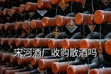 宋河酒廠收購散酒嗎