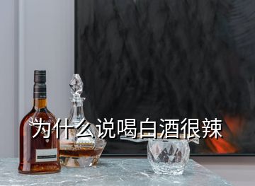 為什么說喝白酒很辣