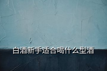 白酒新手適合喝什么型酒