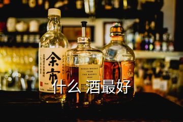 什么 酒最好