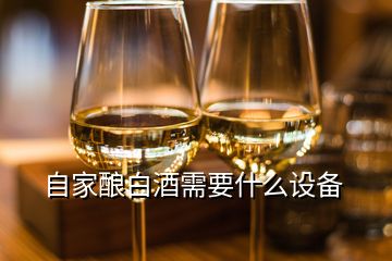 自家釀白酒需要什么設備