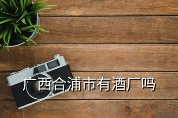 廣西合浦市有酒廠嗎