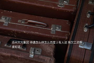 滄州大元集團(tuán) 待遇怎么樣怎么百度上有人說 拖欠工資啊誰知道