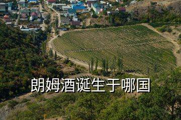 朗姆酒誕生于哪國(guó)