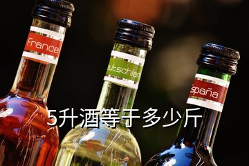 5升酒等于多少斤