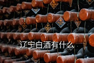 遼寧白酒有什么