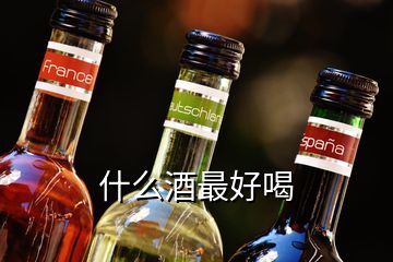 什么酒最好喝