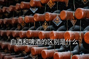 白酒和啤酒的區(qū)別是什么