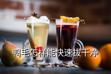 鴨毛怎樣能快速拔干凈