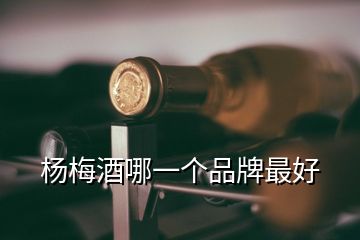 楊梅酒哪一個(gè)品牌最好