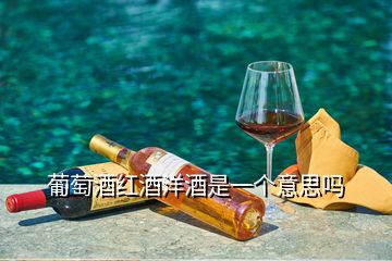 葡萄酒紅酒洋酒是一個(gè)意思嗎