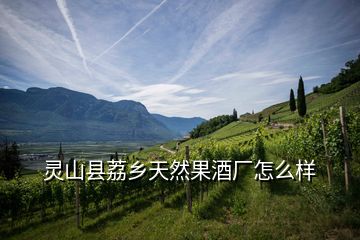 靈山縣荔鄉(xiāng)天然果酒廠怎么樣