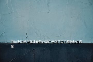 四川寶珠新宇硅業(yè)有限公司廣元?jiǎng)﹂T關(guān)工程地址在哪里