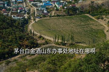 茅臺(tái)白金酒山東辦事處地址在哪啊