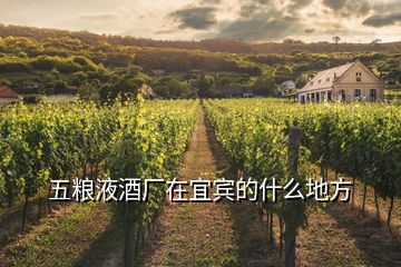 五糧液酒廠(chǎng)在宜賓的什么地方