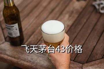 飛天茅臺(tái)43價(jià)格