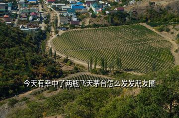 今天有幸中了兩瓶飛天茅臺怎么發(fā)發(fā)朋友圈